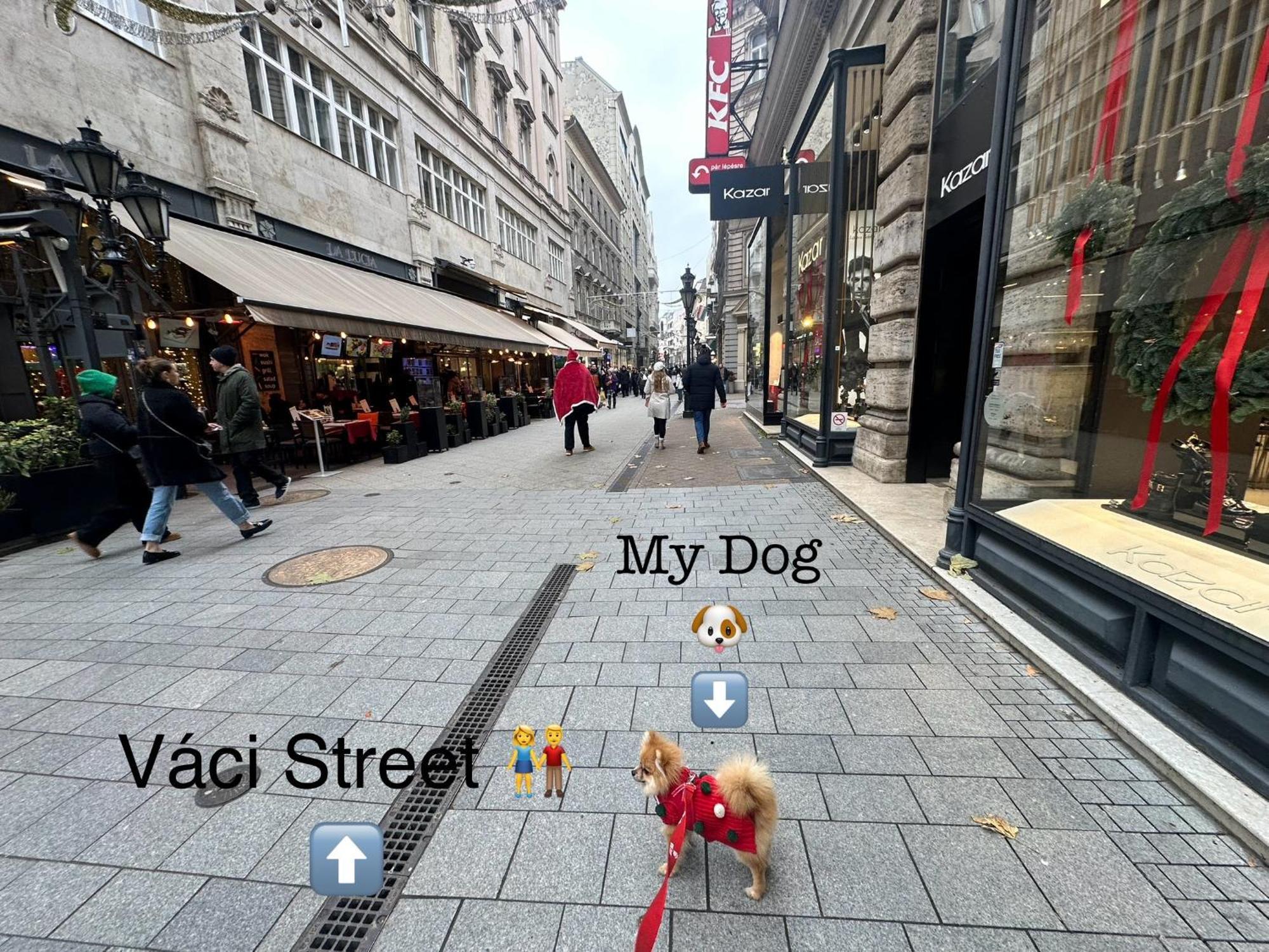 The Pearl Of Vaci Street Residences *